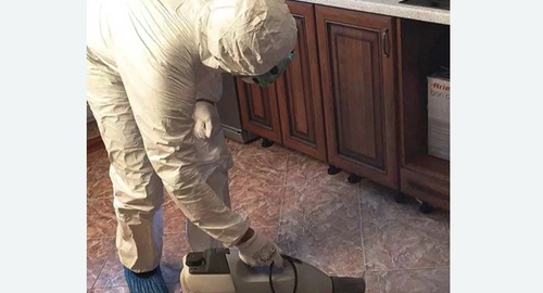 Уничтожение тараканов в квартире. Хабаровск